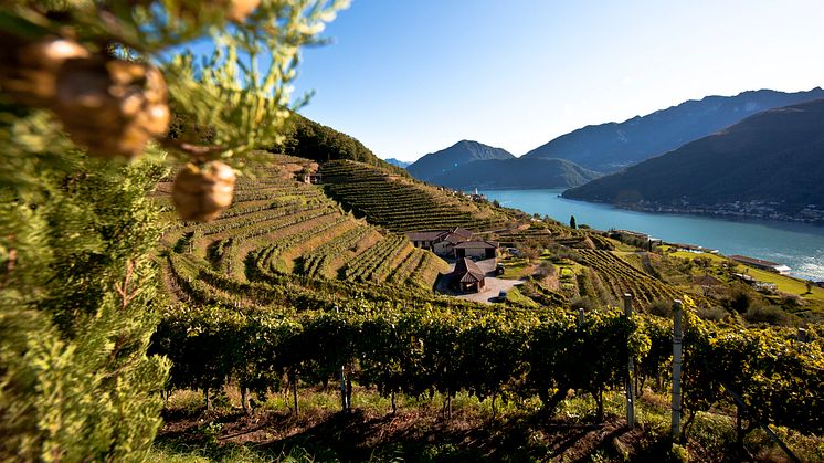 Castello di Morcote, Tessin