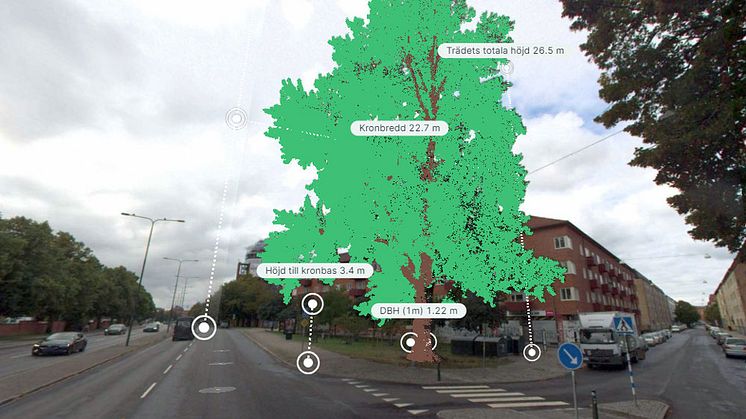 Vy från det verktyg som används för inventering av Malmös gatuträd.