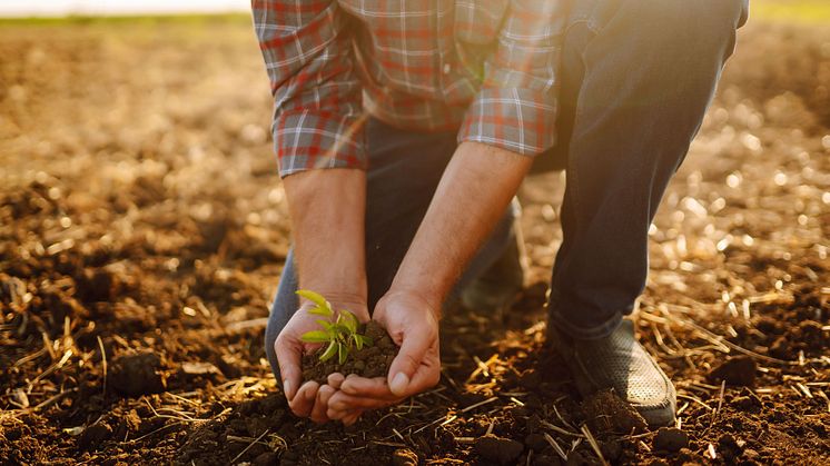 Schafwollpellets und Carbon Farming