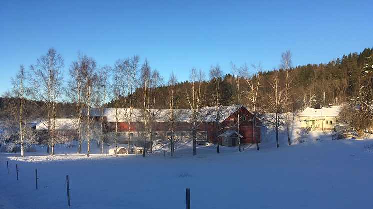 Strømordning på plass for landbruket