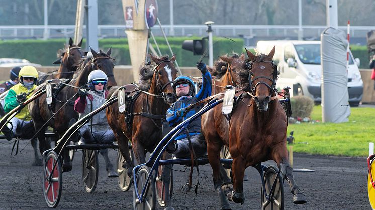 Den första rosa biljetten går till Frankrike. Idao de Tillard är klar för Elitloppet 2024 den sista söndagen i maj på Solvalla. Foto: TR Bild