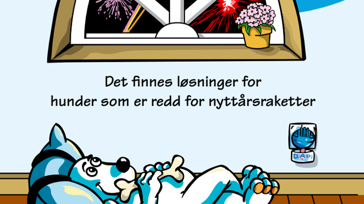 Å trøste hunden kan gjøre vondt verre 