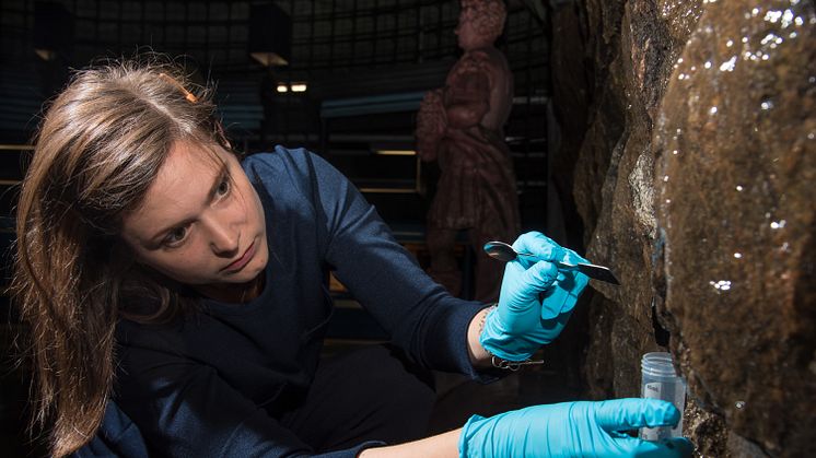 Geobiologen Therese Sallstedt provtar de levande mattor som täcker väggarna i Kungsträdgårdens tunnelbanestation. Foto: Johannes Lundberg, Naturhistoriska riksmuseet