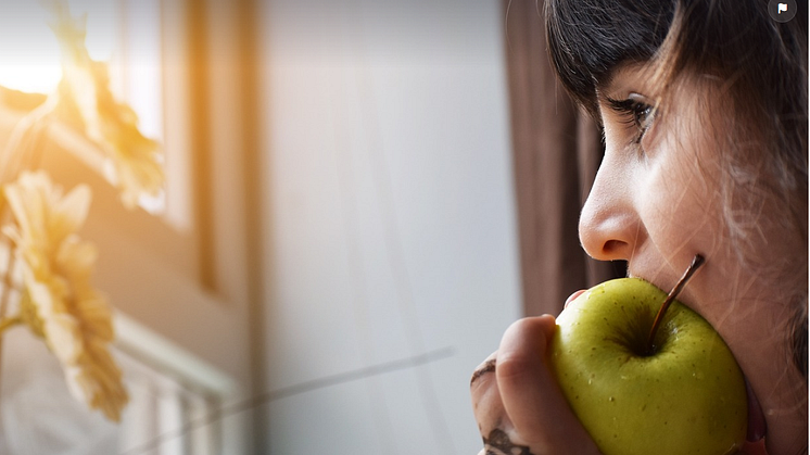 Skolfruktsstödet innebär ett bidrag för att stärka budgeten för livsmedelsinköp på skolorna och ge möjlighet att erbjuda frukt till barnen. Foto: Pixabay