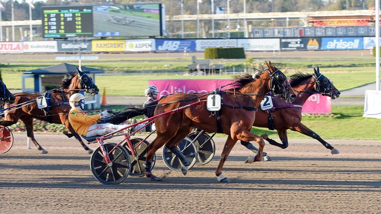 Countess Face störtdyker till seger i sitt uttagningslopp och hinner precis förbi Eli Jet. Foto: Lars Jakobsson. 