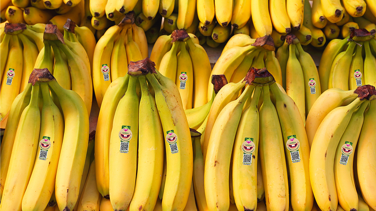 Greenfood utmanar i den klassiska fruktdisken - lanserar varumärket Daily Greens i bananhyllan