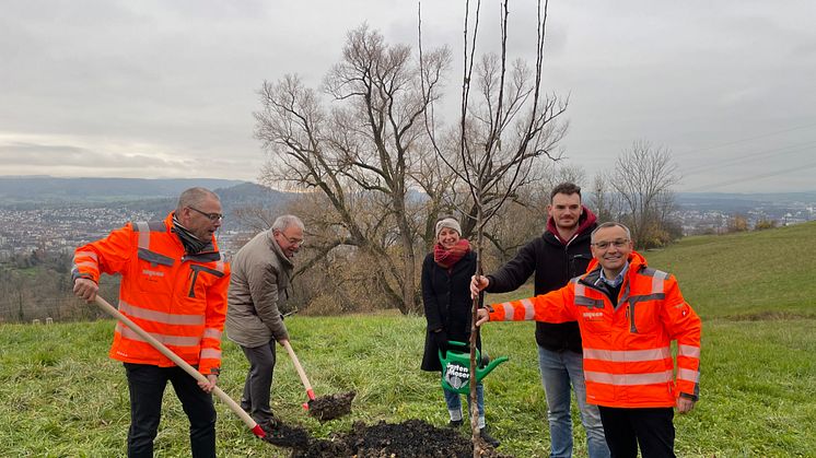 Ein Obstbaum, dem viele weitere folgen werden. Der Modulbauspezialist Algeco betreut künftig eine Streuobstwiese in Reutlingen. 