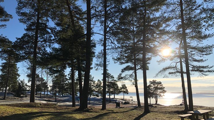 Uppsägning av arrendatorer på Skutberget återkallas