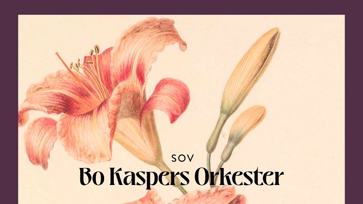 Bo Kaspers Orkester startar en händelserik höst med singeln “Sov”