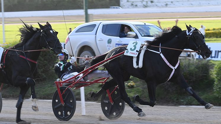 Fransman och svensk nya hästar i Elitloppet Benders