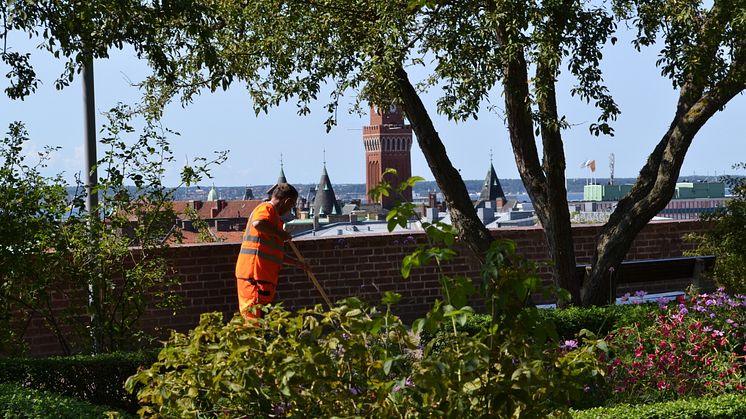 ​Arkeologisk förundersökning i Rosenträdgården