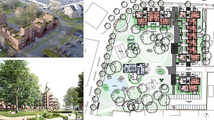 Stor omsorg lagts på mötet mellan de tillkommande bostäderna och den publika parken. Illustrationer: Wingårdh Arkitektkontor