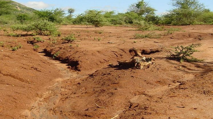 Klimatförändringarna påverkar merparten av världens 700 miljoner fattiga som försörjer sig på jordbruk, men hur mycket rapporterar egentligen de svenska medierna?