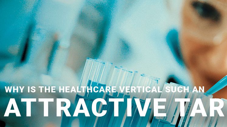 Why is the healthcare vertical such an attractive target?