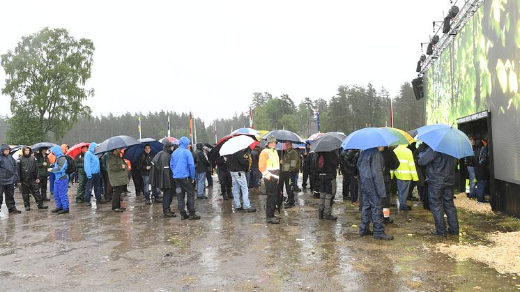 Nu har mässan öppnat, besökare från hela världen strömmar till Elmia Wood. Glada miner trots regnet. 