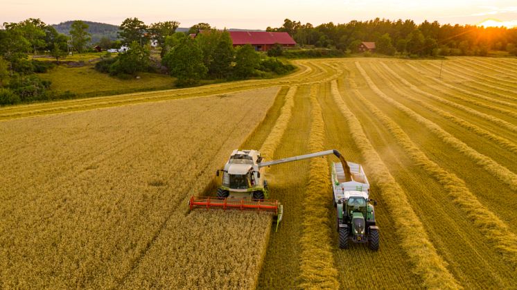 Jordbruksverket menar att förslagen i utredningen Livsmedelsberedskap för en ny tid, är välkomna och nödvändiga för att bygga upp Sveriges livsmedelsberedskap. Foto: Thomas Andersen/Scandinav 