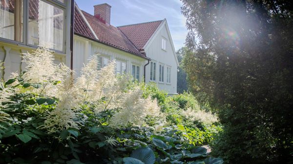 Trädgårdsavfall blir biokol i Renovas nya anläggning. Foto: Göteborgs Stad, Lo Birgersson