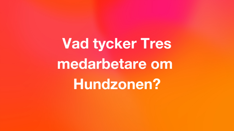 Medarbetarundersökning Tres Hundzon.pdf