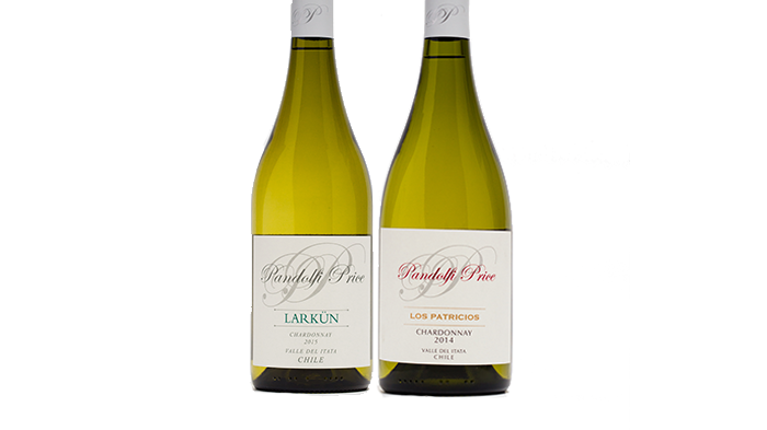 Larkün Chardonnay och Los Patricios Chardonnay från Pandolfi Price