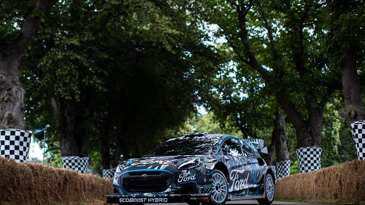 Ford_Puma-Rally1-WRC-Prototype_13.jpg