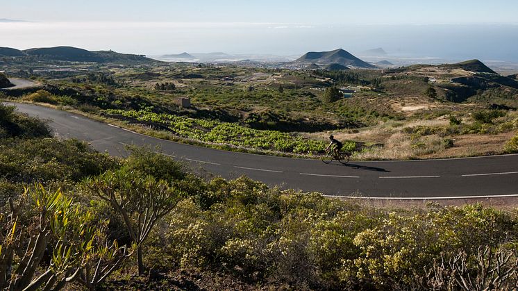 MTB på Tenerife - Tenerife No Limits, Islas Canarias