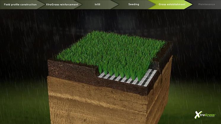 Uppbyggnad - XtraGrass hybridgräs
