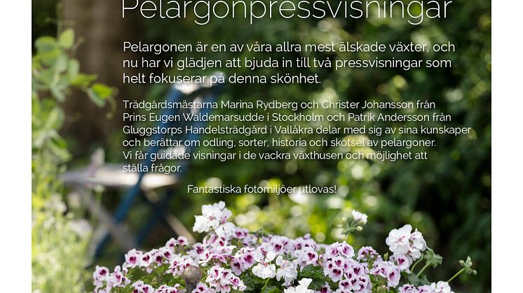 ​Inbjudan till unika pelargonpressvisningar