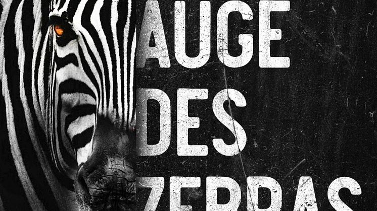 Kliesch_Im Auge des Zebras.jpg