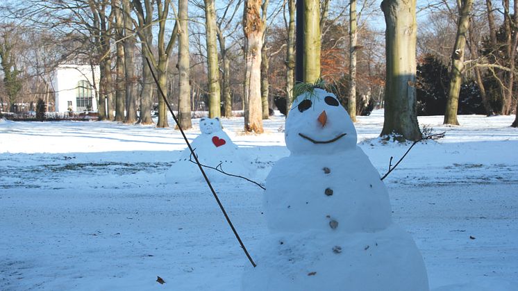 Schneemann_2012