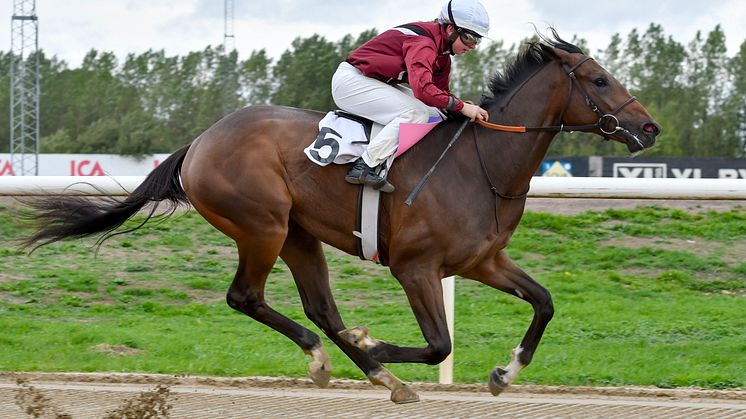 Joker Face vinner med Kajsa Lindsjö, Jägersro 180912. Foto: Stefan Olsson / Svensk Galopp