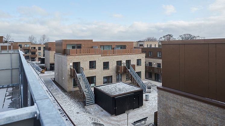 Tornhøjgårdparken en vintermorgen