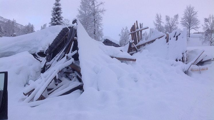 Med enkle virkemidler kan mange slike skader unngås. Veien til avkortning blir kortere denne vinteren enn i fjor, varsler Gjensidige.