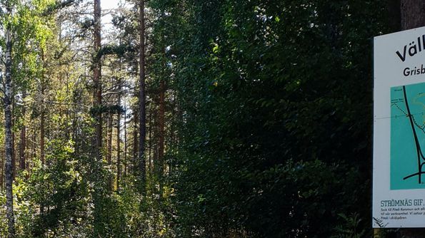 Åtgärderna med att förbättra Grisbergets spår enligt delar ur det inlämnade Piteförslaget påbörjas redan nu under sommaren. Foto Piteå kommun