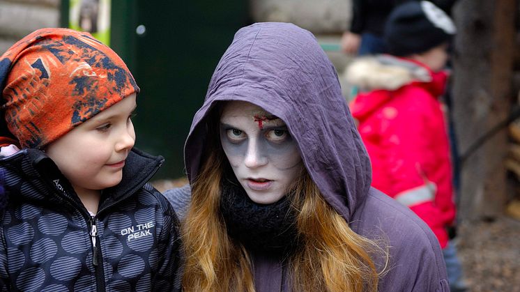 En rysmysig halloween på Kolmården