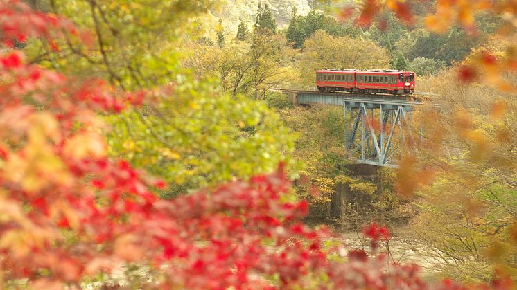 Aizu Train