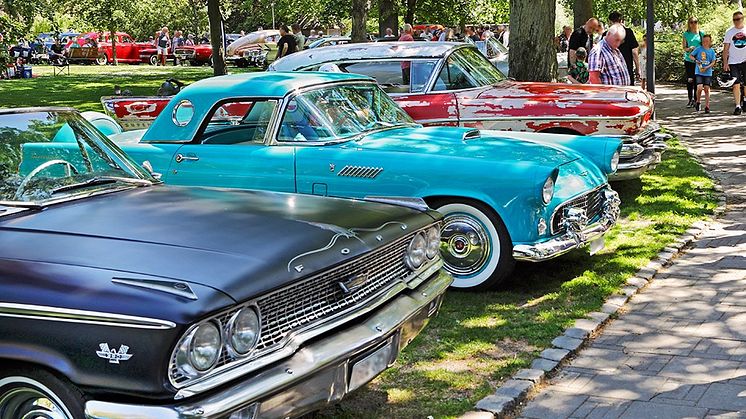 Över hela Sverige arrangeras det bilträffar på Sveriges nationaldag den 6 juni. En av de större är Trelleborgs Motorshow, som även tog hem förstapriset i arrangörstävlingen ”Kultur på väg” förra året.