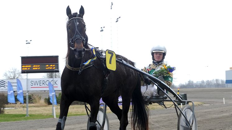 V86 tillbaka på Solvalla med Jackpot