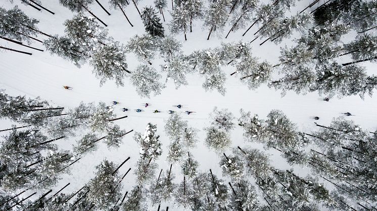 Vasaloppet nominerade till Stora Turismpriset