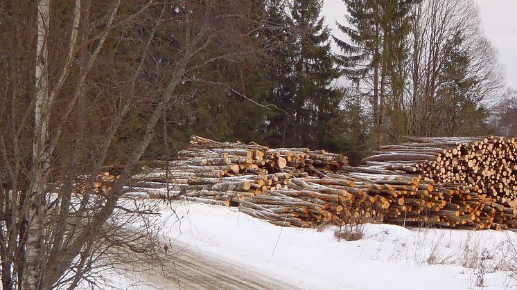 Seminarium: Skogens ekosystemtjänster den 16 mars