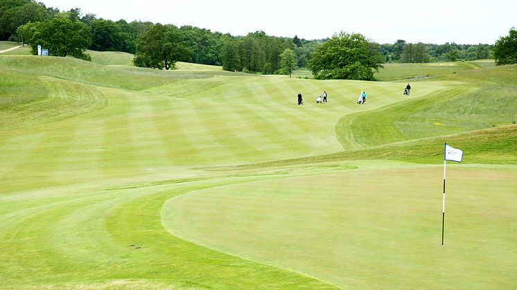 Golfen satsar stort och länge på Elmia Park