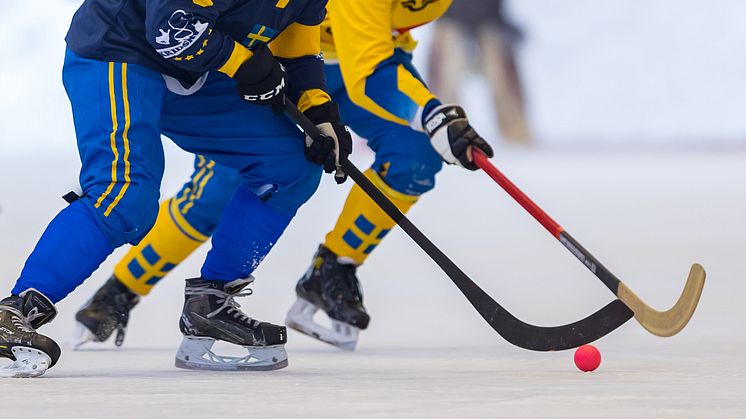 Tradera inleder samarbete med Svenska Bandyförbundet