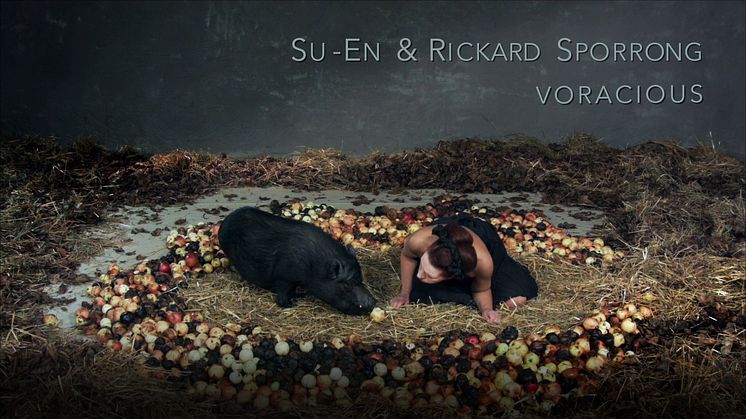 SU-EN, Voracious - glupskhetens kropp, videoverk i samarbete med Rickard Sporrong. Introduktion till videoverket