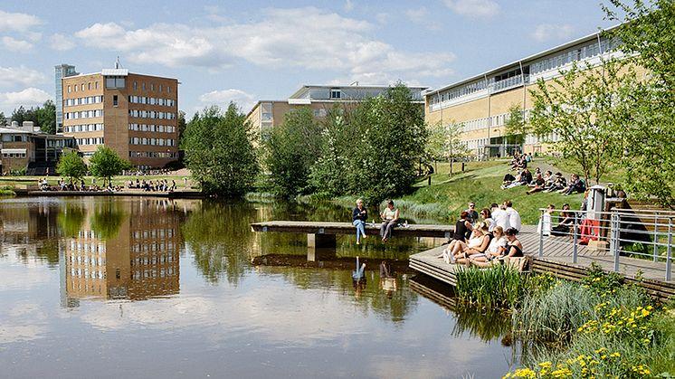 Minskat söktryck till höstens utbildningar på Umeå universitet 