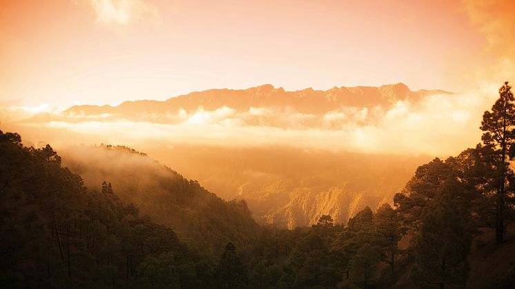 Nationalparken Caldera de Taburiente på ön La Palma erbjuder en naturskön upplevelse och riklig växtlighet.