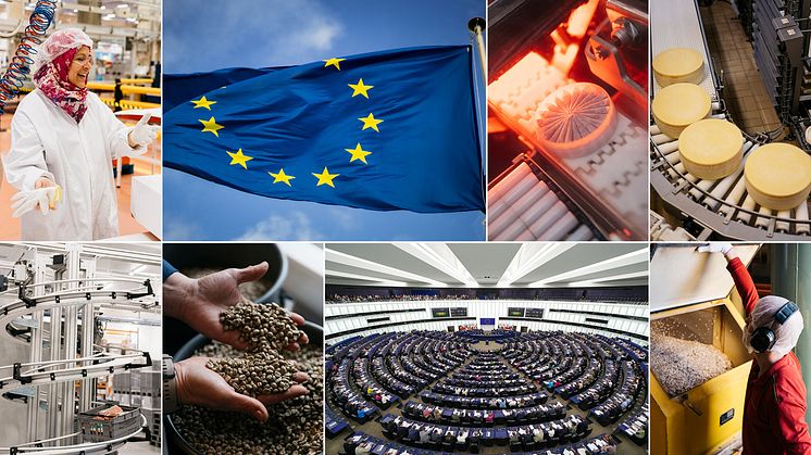 För den svenska livsmedelsbranschen är valet till Europaparlamentet och tillsättningen av EU-kommissionen minst lika viktiga som riksdagsvalet. 