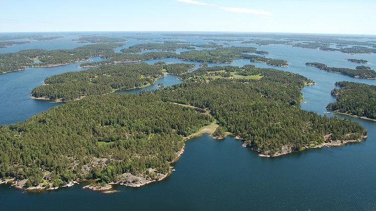 Öarnas storlek och placering är väldigt betydelsefullt för vilka sorters växter klarar landskapsförändringar. Foto: Sara Cousins