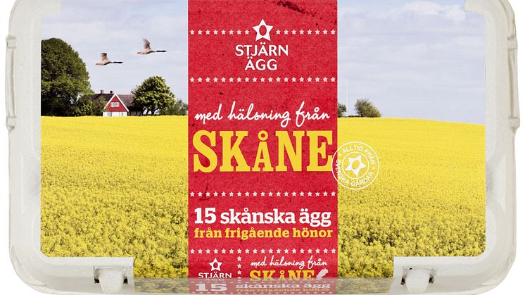 Stjärnägg - Satsar på Skåne