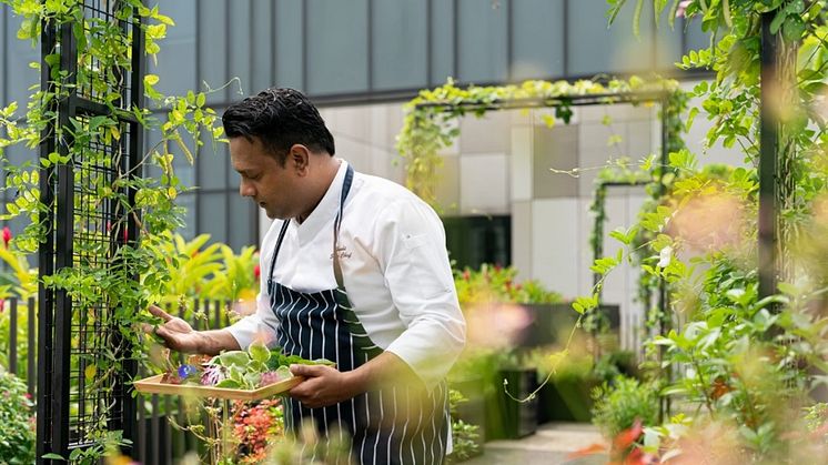 PARKROYAL COLLECTION Pickering’s brand-new Urban Farm supplies harvests for its Restful Sleep amenity and Conscious Dining menu.