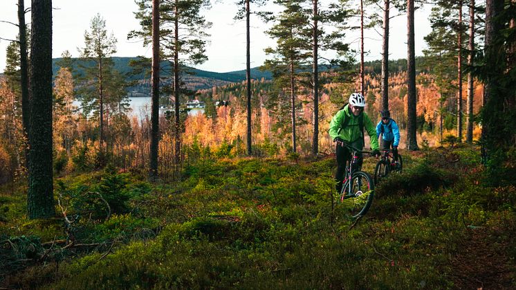 Aktuellt i Höga Kusten