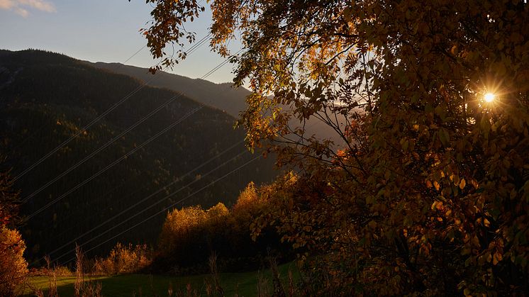 Strømnett i Nore